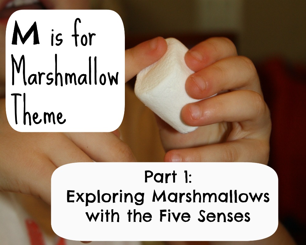 Marshmallow Five Senses