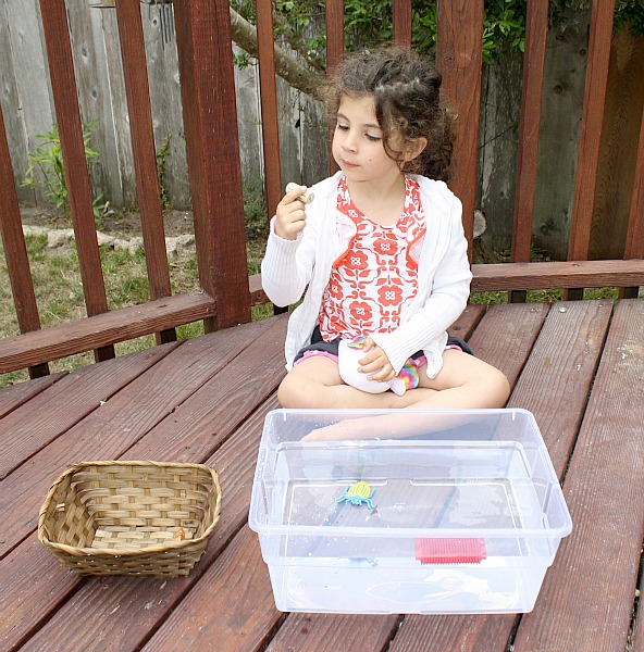 Sink or Float Preschool Activity with Free Printable