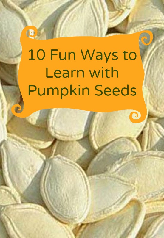 10 Fun Ways to Learn with Pumpkin Seeds--Great ideas for a fall busy bag or easy on the go learning and play