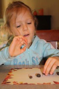 Phonemic Awareness Concept of Word Activity with Acorns