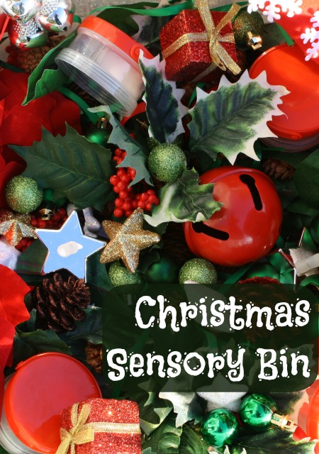 Christmas Sensory Bin and Learning Activities for Kids