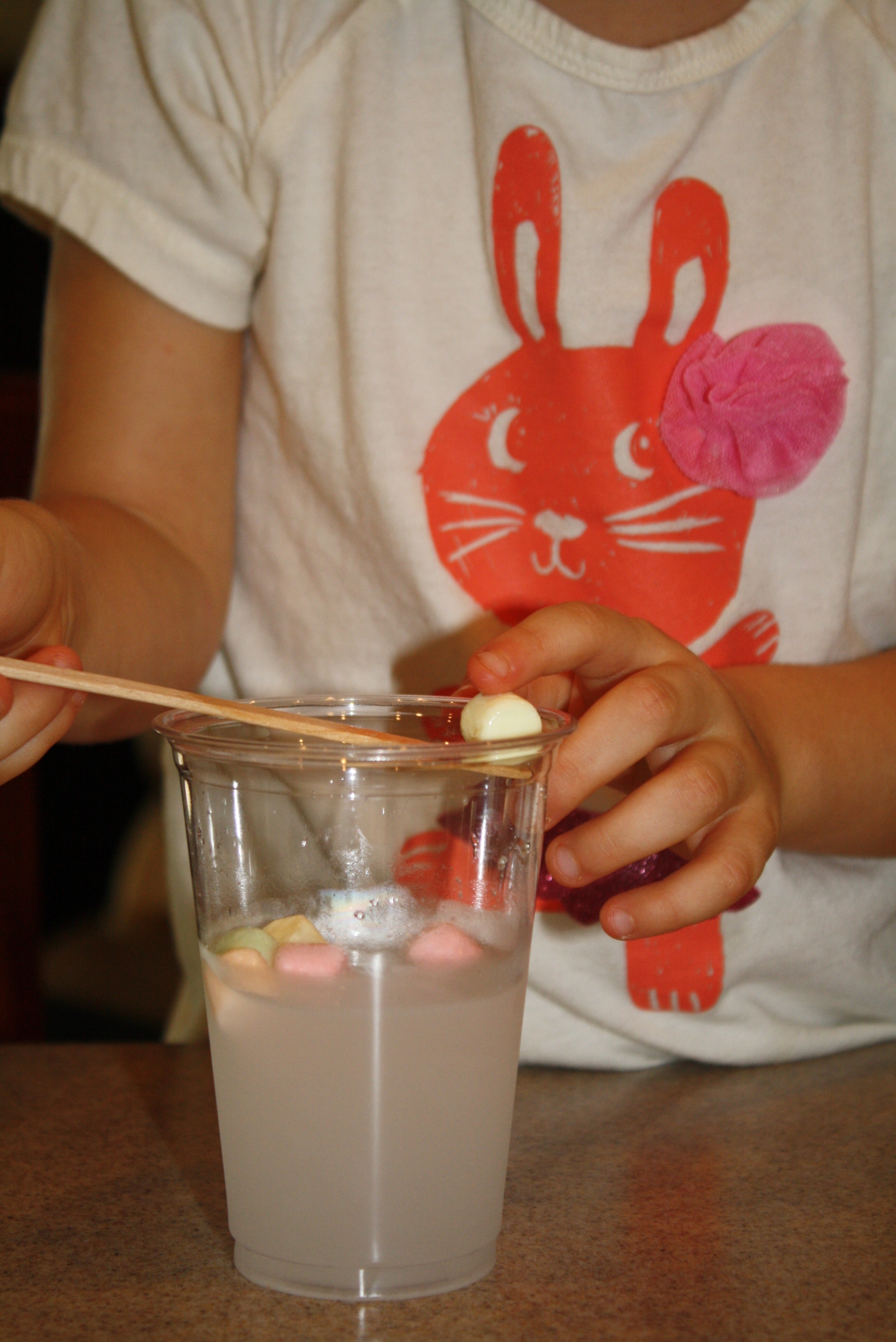 Marshmallow Science Experiment for Preschool and Kindergarten