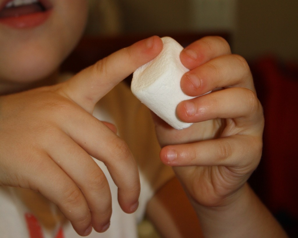 Exploring marshmallows with five senses. 