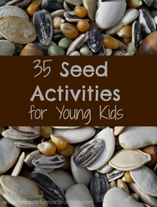 35 Seed Activities for Young Kids