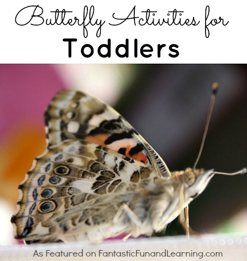 Butterfly Activities for Toddlers