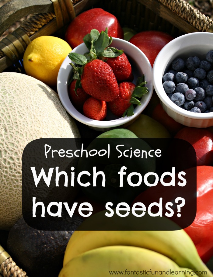 Finding seeds in foods-Science Inquiry