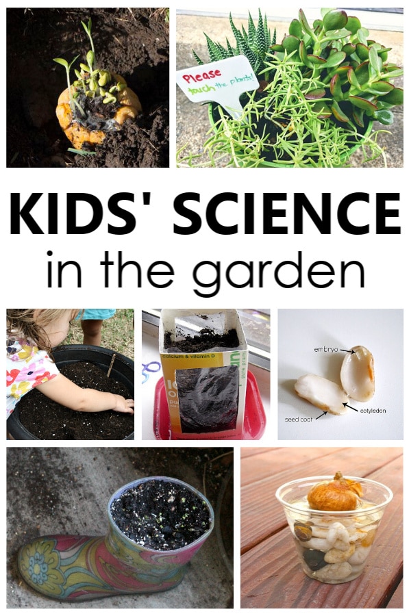 Kids Science in the Garden-Which Seeds to Grow with Kids and Fun Science Experiments when Gardening with Kids