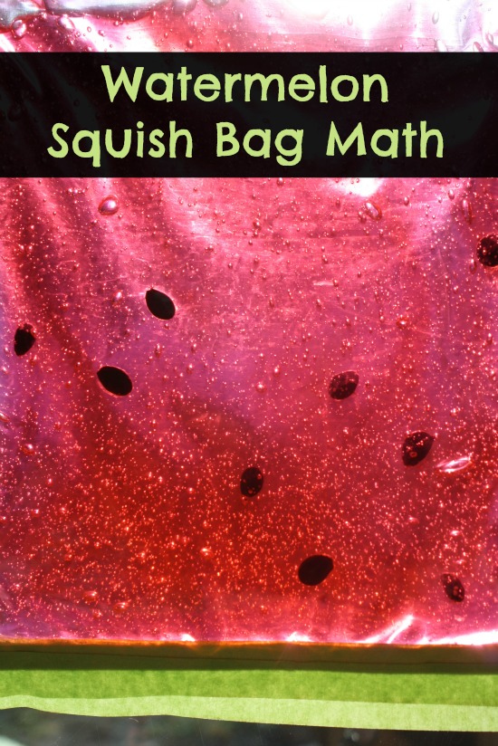 Watermelon squish bag
