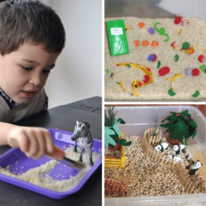 Zoo Theme Sensory Play Ideas for Toddlers and Preschoolers