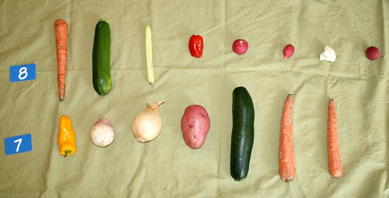 Counting Vegetables