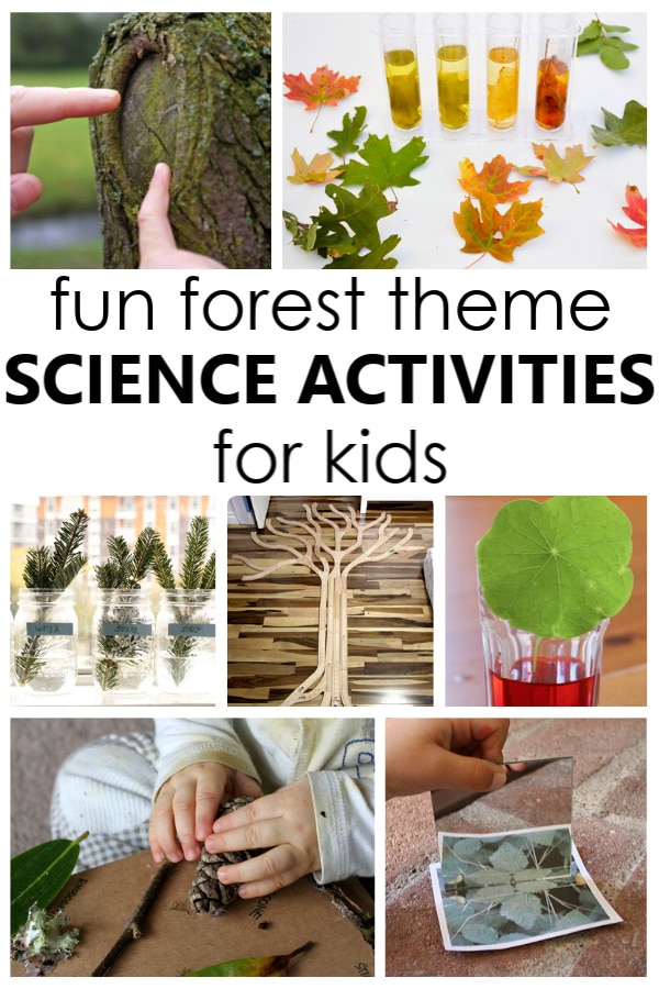 Fun Forest Science Activities for Kids