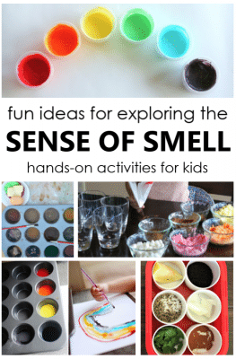 12 Fun Ideas for Exploring the Sense of Smell~Unique ideas for toddlers, preschoolers, and school age kids
