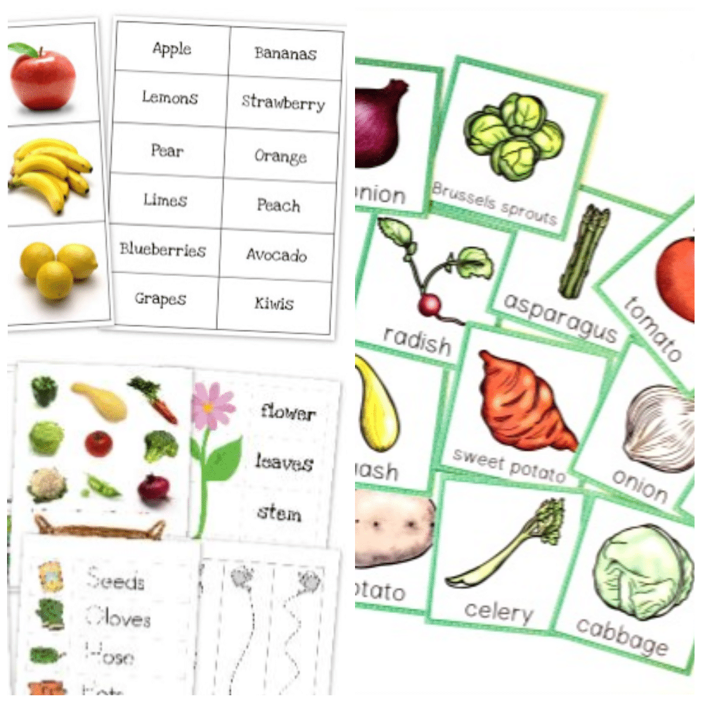 50 Vegetable Activities For Kids In Preschool And Kindergarten 50 Vegetable Activities For Kids In Preschool And Kindergarten