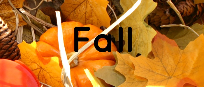 Fall Theme