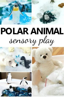 Polar Animal Sensory Play and Small World Ideas for Preschoolers