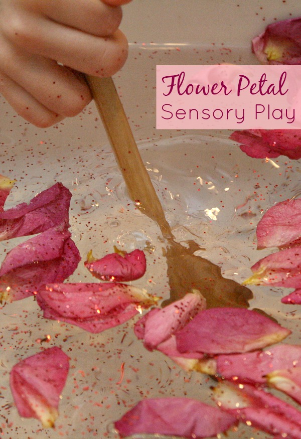 Flower Petal Sensory Play. Fun way to use old flower petals
