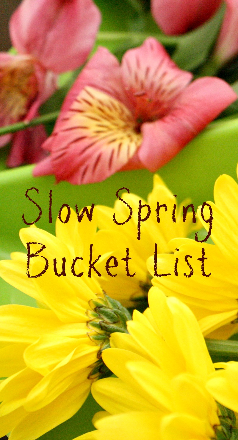 Slow Spring Bucket List...simple ideas for enjoying spring together with kids