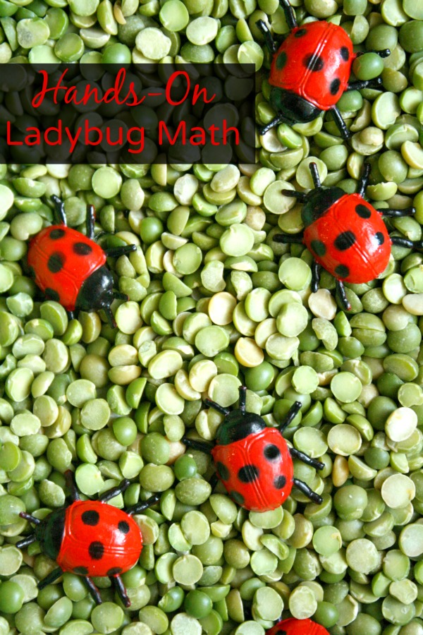 Hands-On Ladybug Math Ideas for Kids-Counting, Addition, Comparing