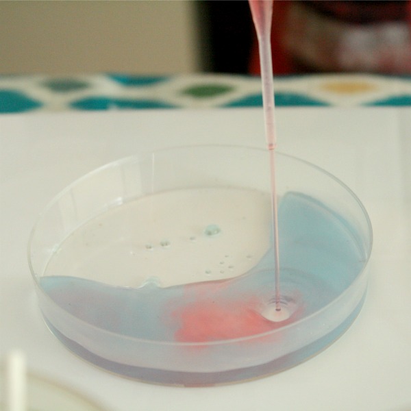 Mixing Blue and Red Preschool Science Experiment with Lollipops