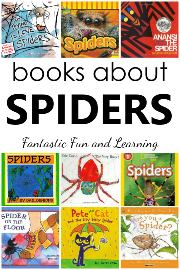 22 Super Spider Books for Kids. Favorite spider books for a preschool spider theme.