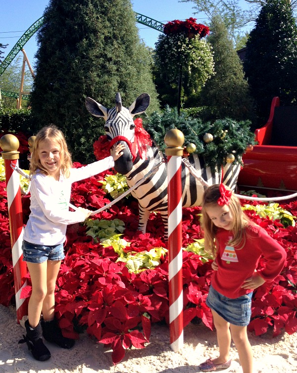 Photo Spots at Christmas Town