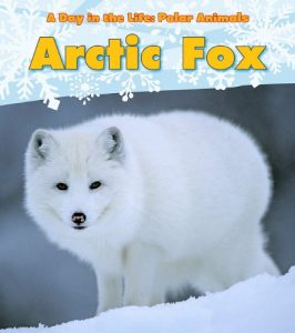 Polar Animal Books for Kids