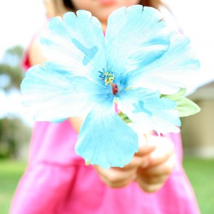 Letter flowers for preschool alphabet activity