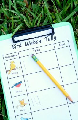 Free Printable Bird Watch Tally Sheet