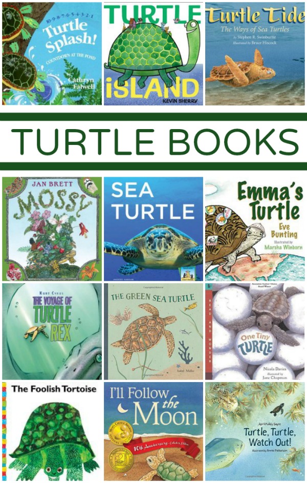 Turtle Books~Great fiction and nonfiction books to teach kids about turtles