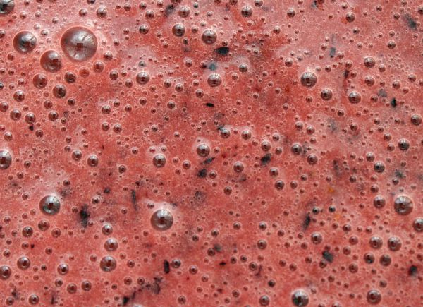 Blueberry Orange Ice Pop Ingredients