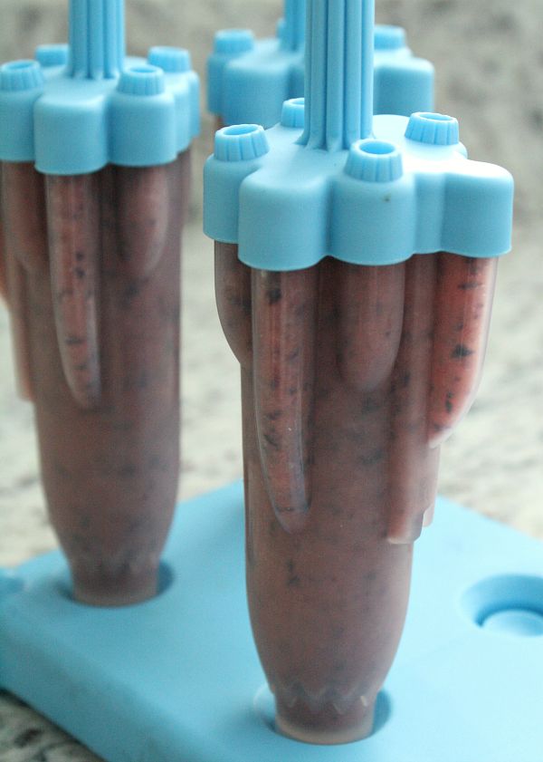 Rocket Popsicle Molds