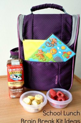 In addition to providing quality food and snack options, you can help prepare kids for the rest of the school day by providing easy school lunch brain break kits.