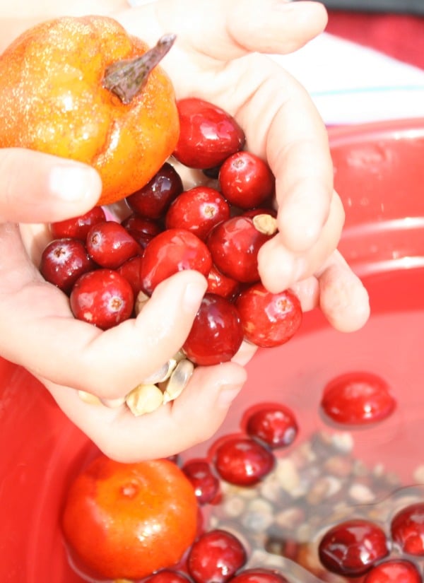 Thanksgiving Pretend Play-Cranberry Sensory Soup