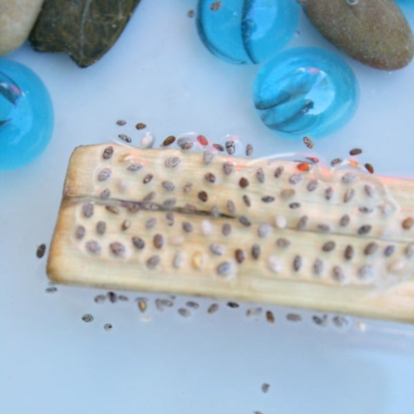 Frog Spawn Pretend Play