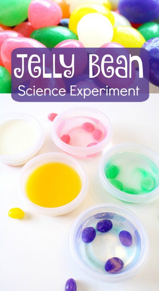Jelly Bean Science Experiment-Easter Science for Preschool and Kindergarten