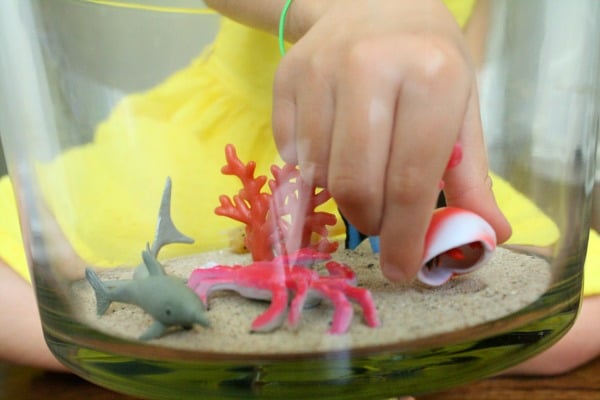 Create a Hermit Crab Small World