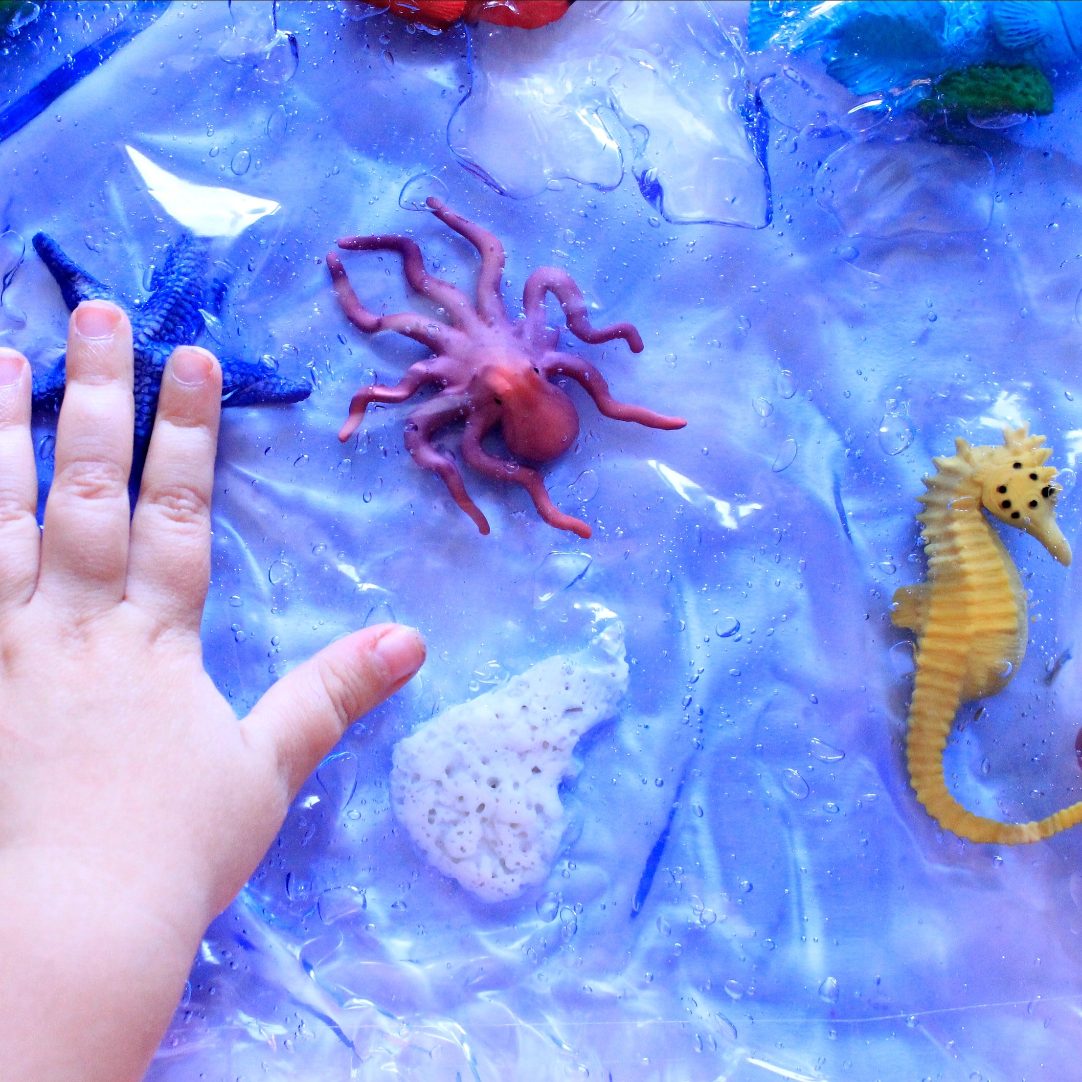 ocean sensory play for preschool