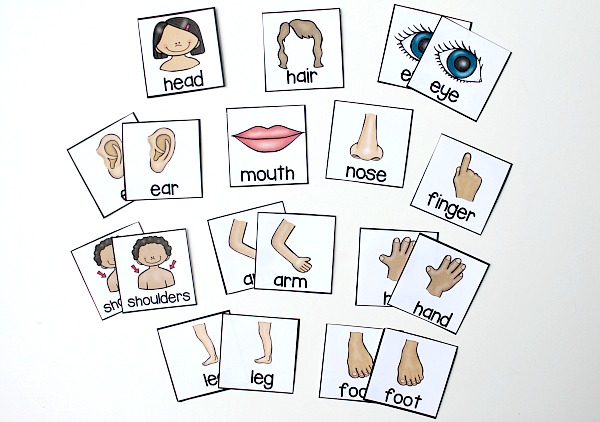 All About Me Preschool Science - Fantastic Fun & Learning vocabulary tape diagram 