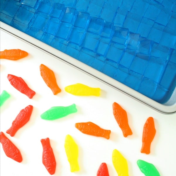Fish Sensory Play for Toddlers
