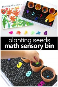 Counting Seeds Gardening Sensory Bin-Pretend play and math activity for toddlers and preschoolers #spring #preschool #math #kidsactivities