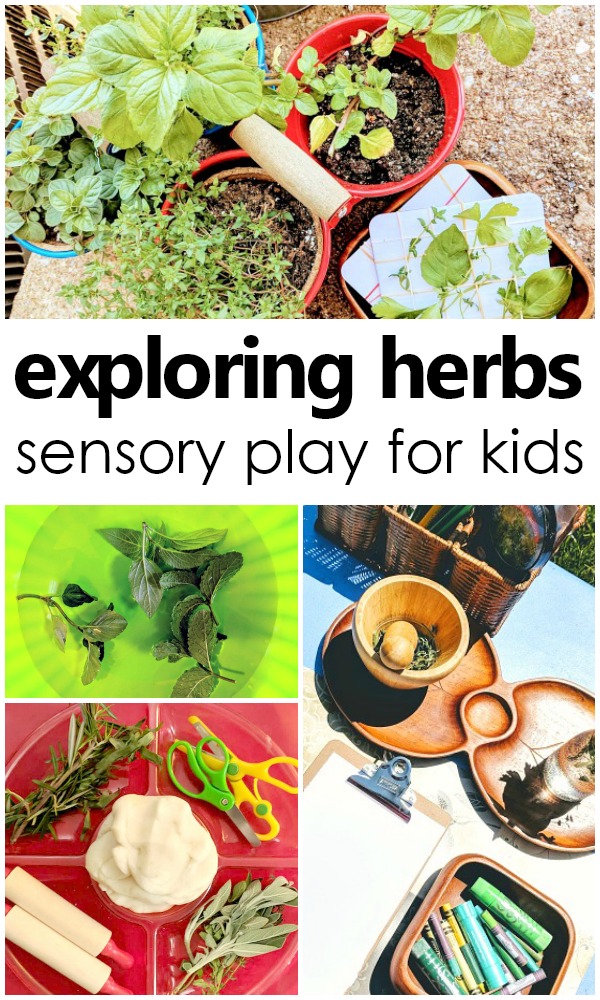 Exploring Herbs Sensory Play for Kids-Creative activities for learning about herbs with kids. Herb sensory play, fine motor activities, art activites, play dough invitations and more #preschool #sensory #kidsactivities