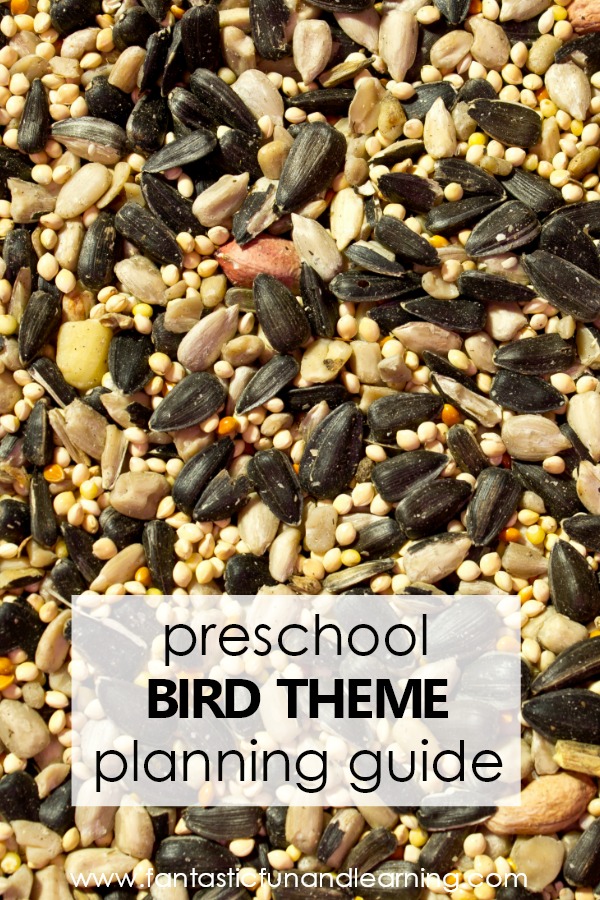 Preschool Bird Theme Lesson Planning Guide #preschool #lesonplans #kindergarten