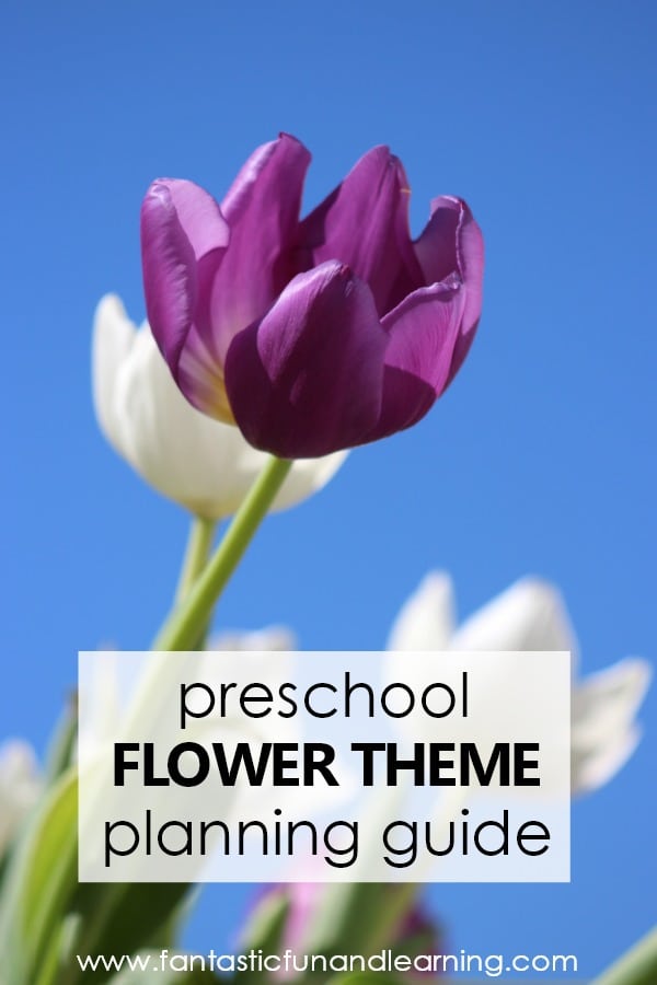 Preschool Flower Theme Lesson Planning Guide #preschool #prek #kidsactivities