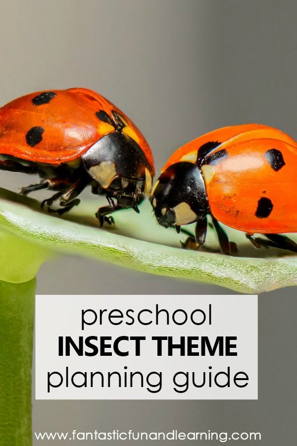 Preschool Insect Theme Lesson Planning Guide #preschool