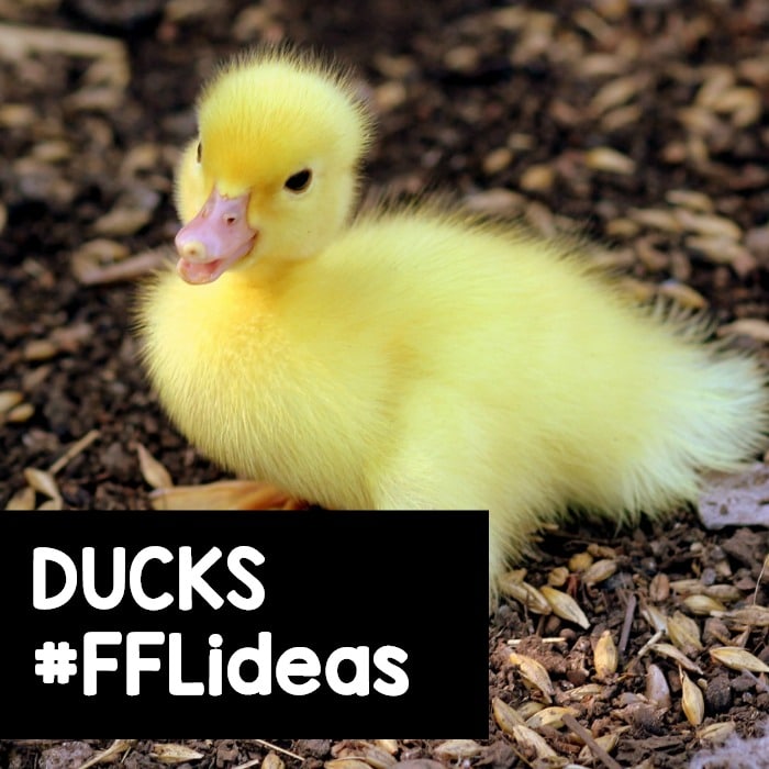 Preschool Duck Theme Ideas