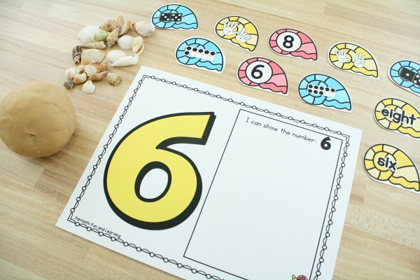 Summer Math Activities for Preschool-Seashell Counting Mats