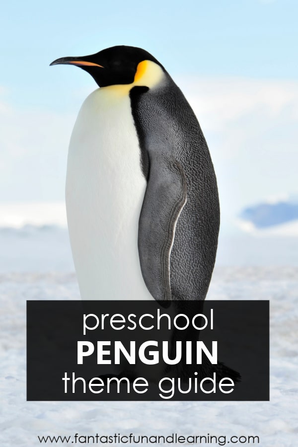 Preschool activities for penguin theme