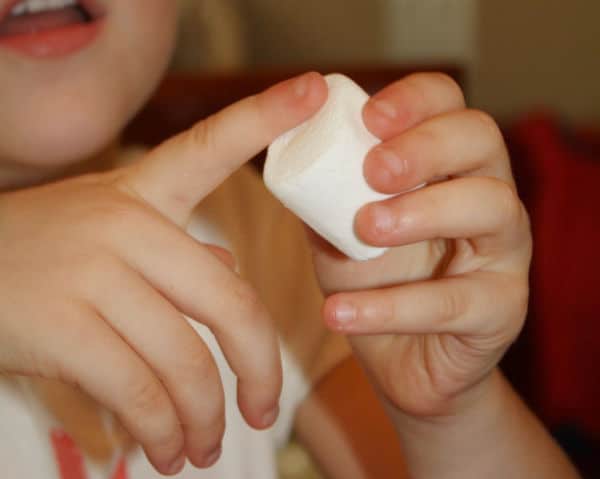 Marshmallow Five Senses Activity
