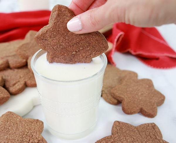 Zimtsterne Cookie Recipe for Christmas Around the World Party