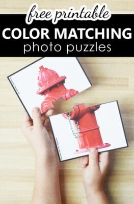 Free Printable Quick Prep 2-part Color Matching Photo Puzzles for Preschool and Pre-K